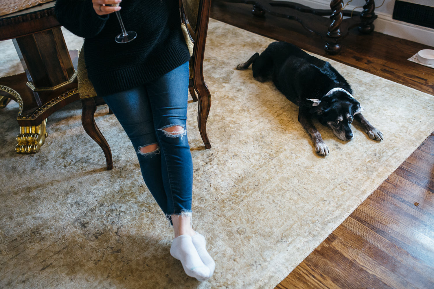 dog laying on a rug while a woman drinks wine