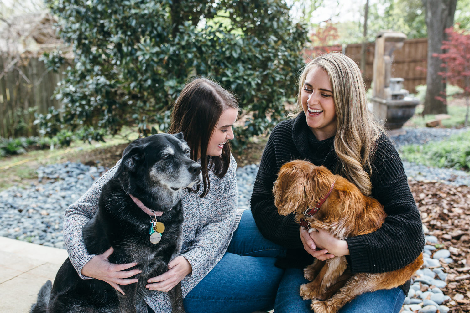 two women laughing outside with their dogs in their laps